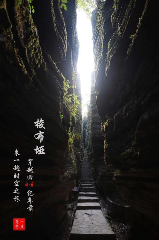 千年树屋逃脱2